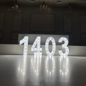 Light up numbers