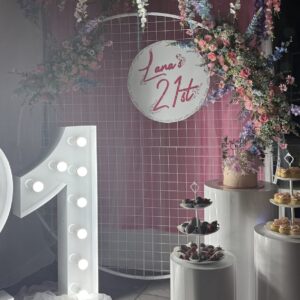 Circle Mesh Backdrop