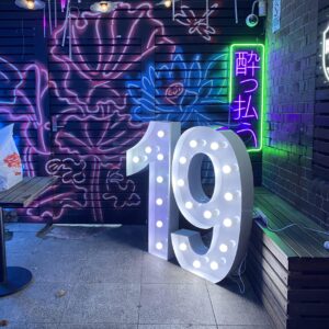 Light Up Number "9" and "1"